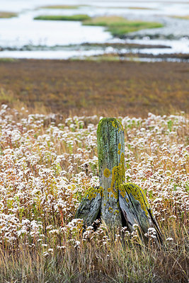 BUITEN BEELD Foto: 419084