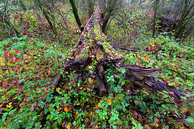 BUITEN BEELD Foto: 419085