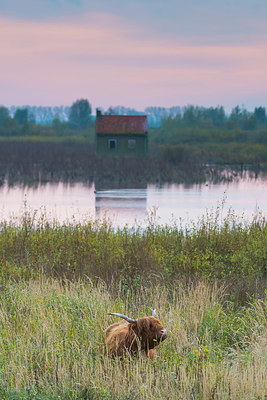 BUITEN BEELD Foto: 419089