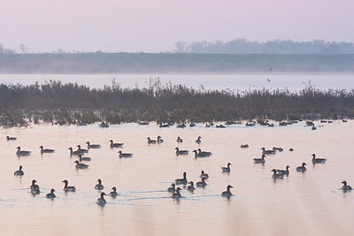 BUITEN BEELD Foto: 419104