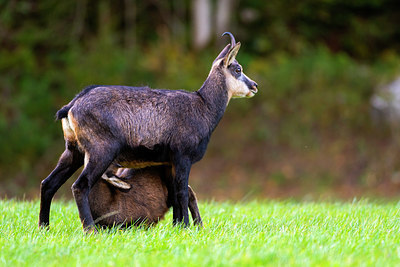 BUITEN BEELD Foto: 419106