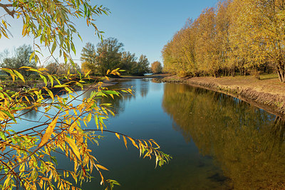 BUITEN BEELD Foto: 419116