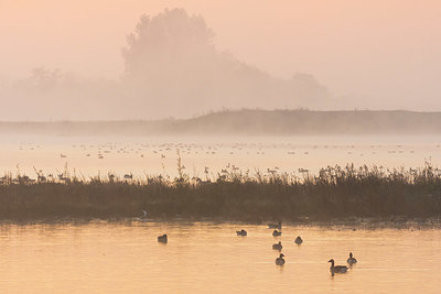 BUITEN BEELD Foto: 419124