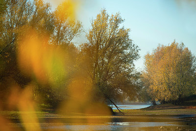 BUITEN BEELD Foto: 419137