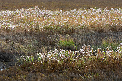 BUITEN BEELD Foto: 419140