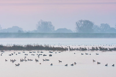 BUITEN BEELD Foto: 419141