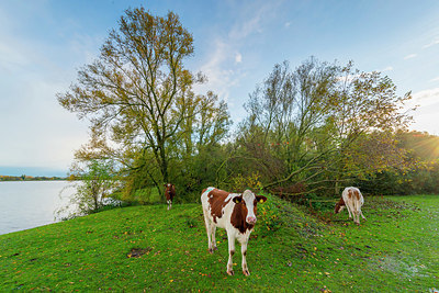 BUITEN BEELD Foto: 419145