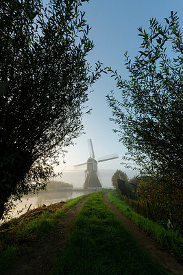 BUITEN BEELD Foto: 419152