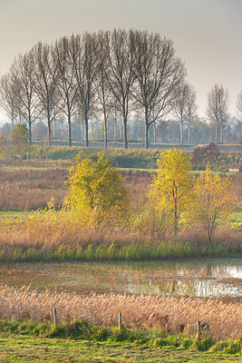 BUITEN BEELD Foto: 419167