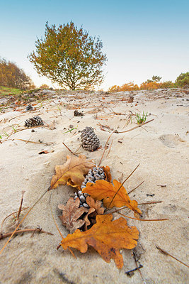 BUITEN BEELD Foto: 419174