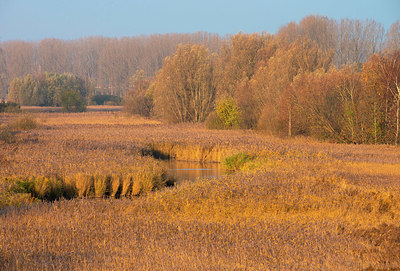 BUITEN BEELD Foto: 419189