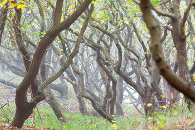 BUITEN BEELD Foto: 419191