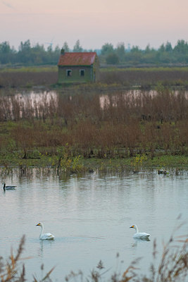 BUITEN BEELD Foto: 419273