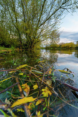 BUITEN BEELD Foto: 419276