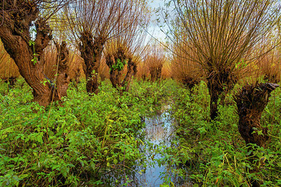 BUITEN BEELD Foto: 419284