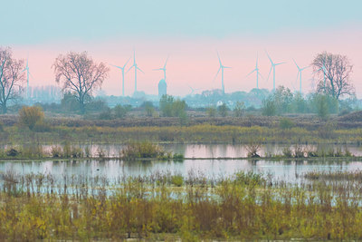 BUITEN BEELD Foto: 419291