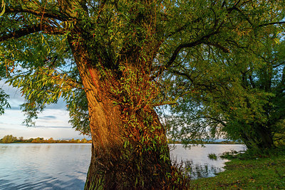 BUITEN BEELD Foto: 419318