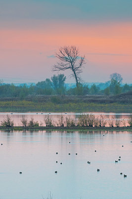 BUITEN BEELD Foto: 419346