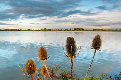 BUITEN BEELD Foto: 419360