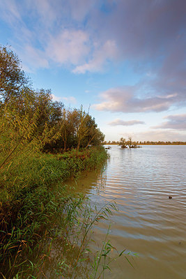 BUITEN BEELD Foto: 419364