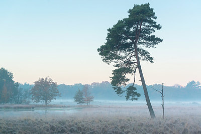 BUITEN BEELD Foto: 419383