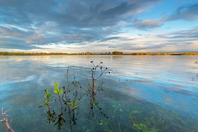 BUITEN BEELD Foto: 419417