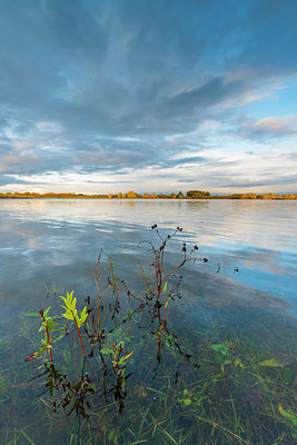 BUITEN BEELD Foto: 419434