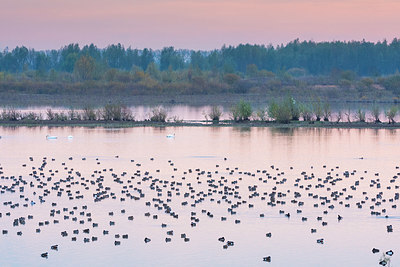 BUITEN BEELD Foto: 419447