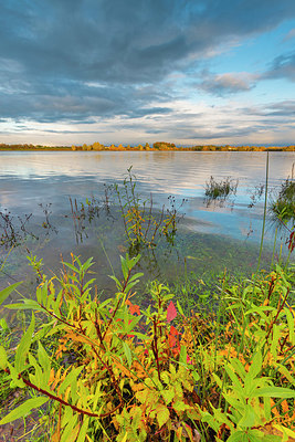 BUITEN BEELD Foto: 419453