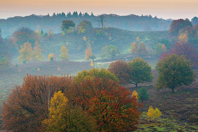 BUITEN BEELD Foto: 419460