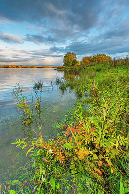 BUITEN BEELD Foto: 419472