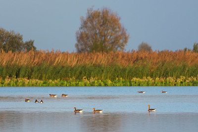 BUITEN BEELD Foto: 419501