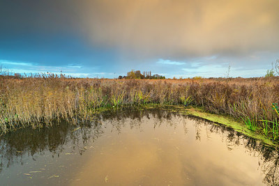 BUITEN BEELD Foto: 419507