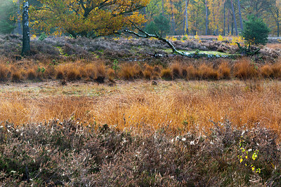 BUITEN BEELD Foto: 419590