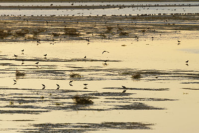 BUITEN BEELD Foto: 419864