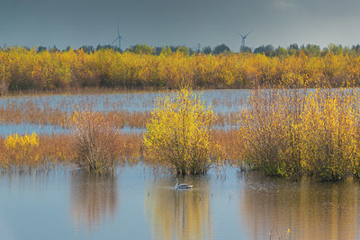 BUITEN BEELD Foto: 419882