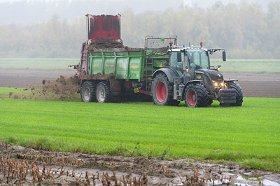 BUITEN BEELD Foto: 419897