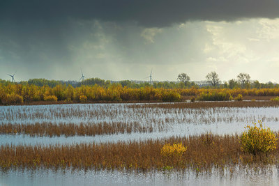 BUITEN BEELD Foto: 419900