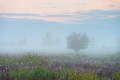 BUITEN BEELD Foto: 419903