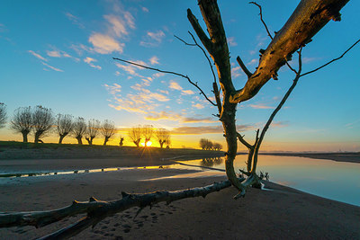 BUITEN BEELD Foto: 419950