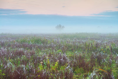 BUITEN BEELD Foto: 419955