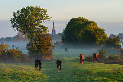 BUITEN BEELD Foto: 419960