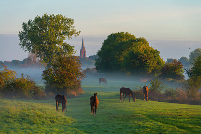 BUITEN BEELD Foto: 419980