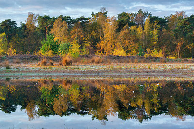 BUITEN BEELD Foto: 420100