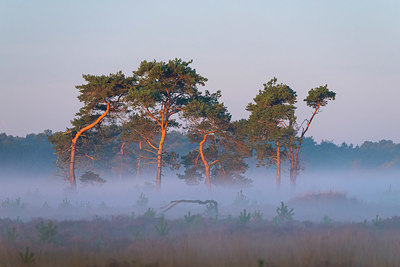 BUITEN BEELD Foto: 420190