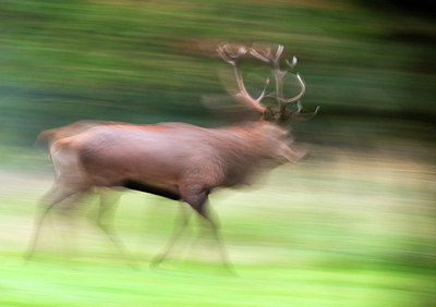 BUITEN BEELD Foto: 420276