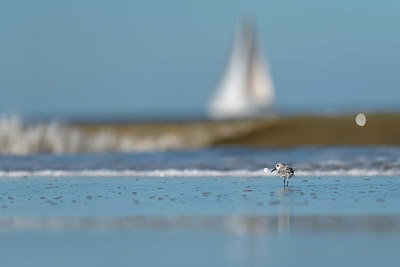 BUITEN BEELD Foto: 420281