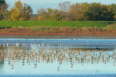 BUITEN BEELD Foto: 420358