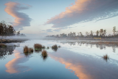 BUITEN BEELD Foto: 420472