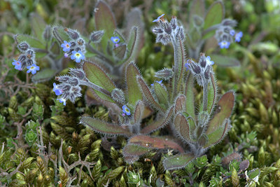 BUITEN BEELD Foto: 420554